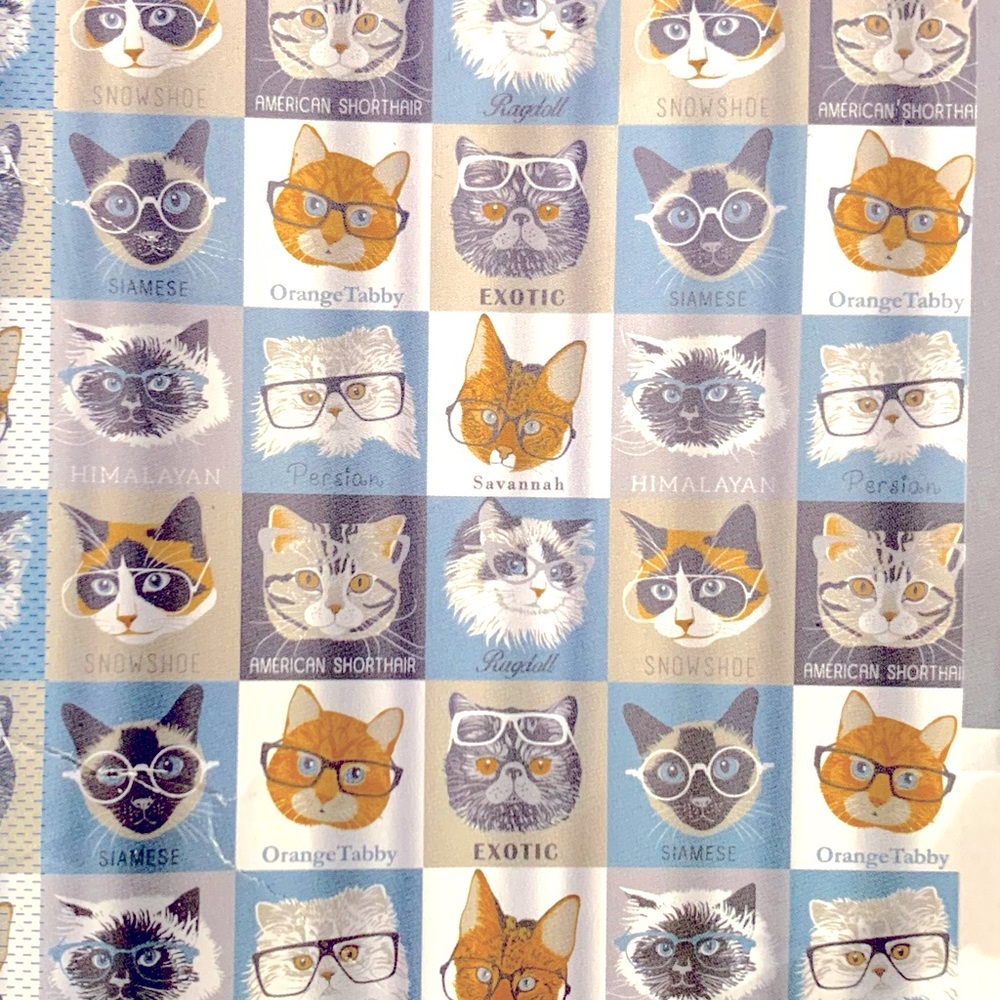 Shower curtain